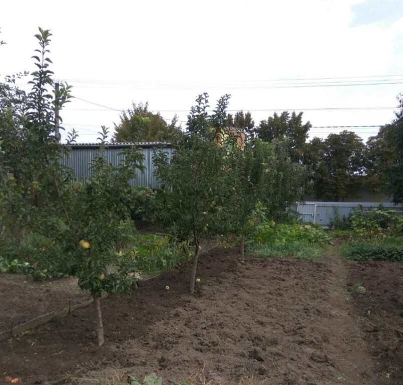 Обʼєкт нерухомості: 2 КІМ. БУДИНОК, ПЛОЩА - 42.9 м², ЦІНА - 25 000 $
 — HUBTRUST, Вінниця