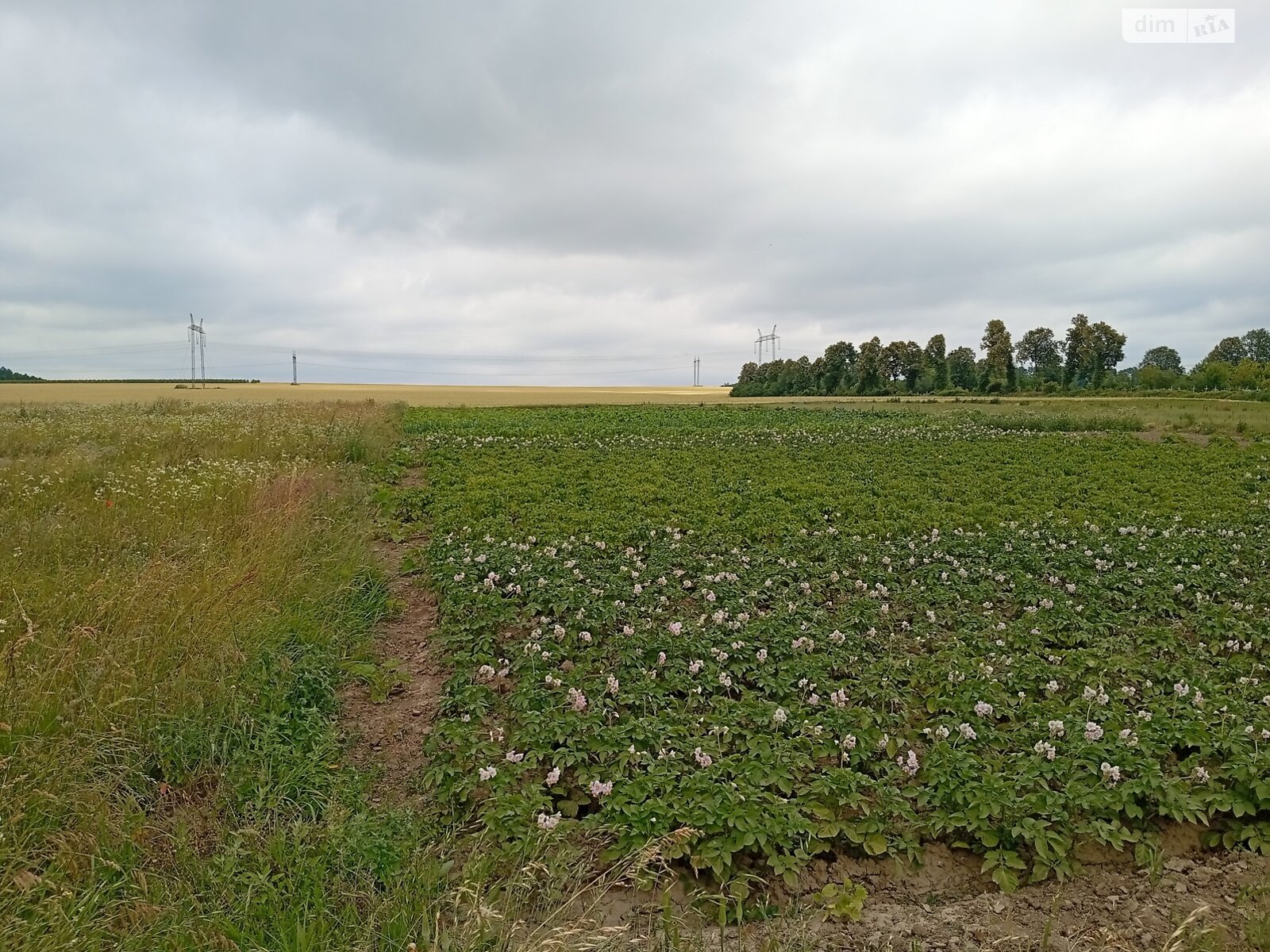 Обʼєкт нерухомості: ПЛОЩА - 25 CОТ., ЦІНА - 11 500 $
, вул. Польова — HUBTRUST, Вінниця