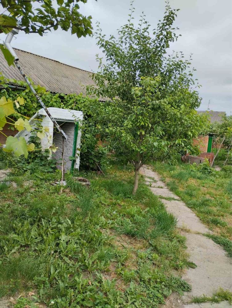 Обʼєкт нерухомості: 3 КІМ. БУДИНОК, ПЛОЩА - 62.02 м², ЦІНА - 9 300 $
 — HUBTRUST, Вінниця