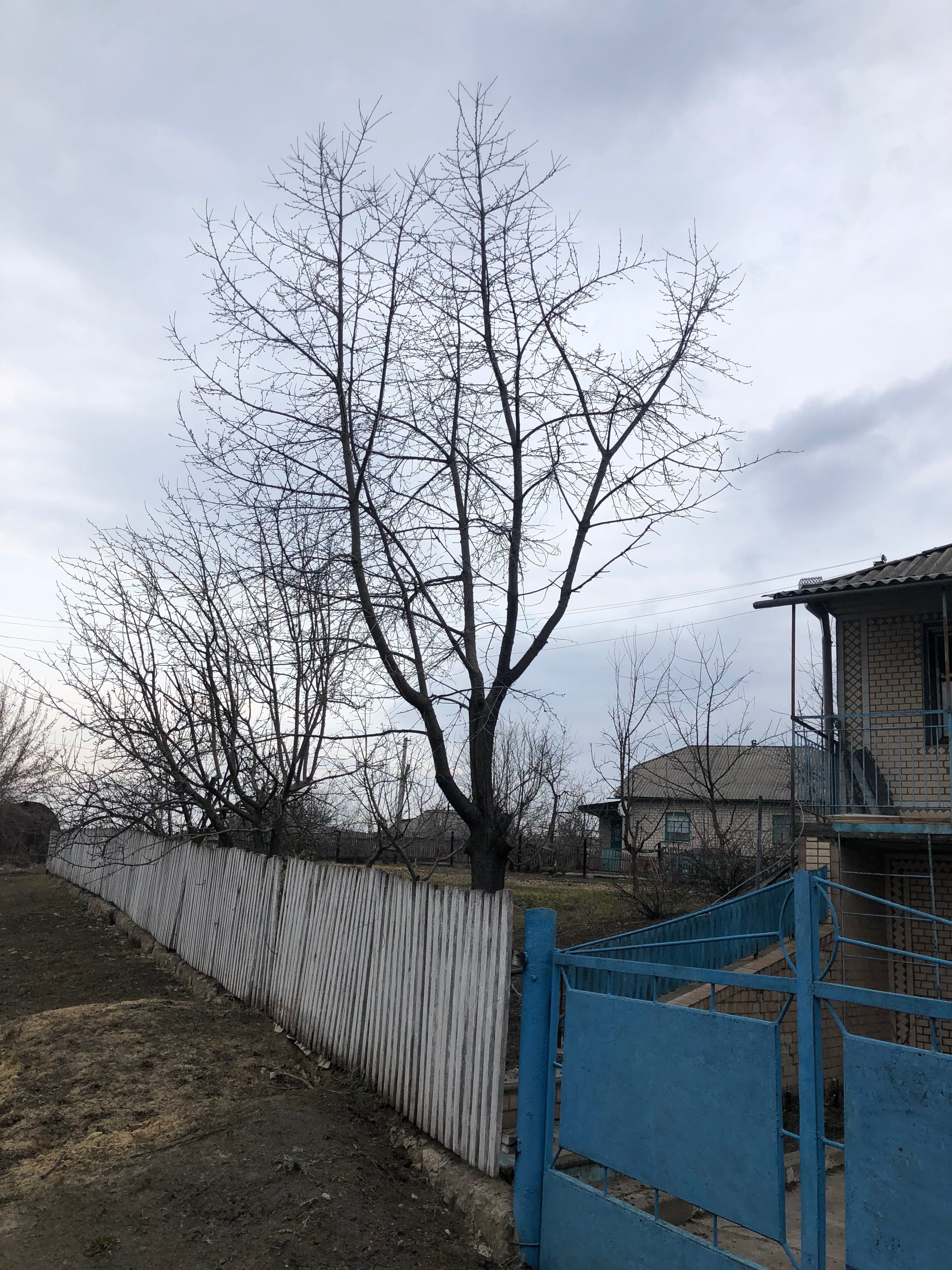 Обʼєкт нерухомості: 5 КІМ. БУДИНОК, ПЛОЩА - 100 м², ЦІНА - 19 117 $
 — HUBTRUST, Вінниця