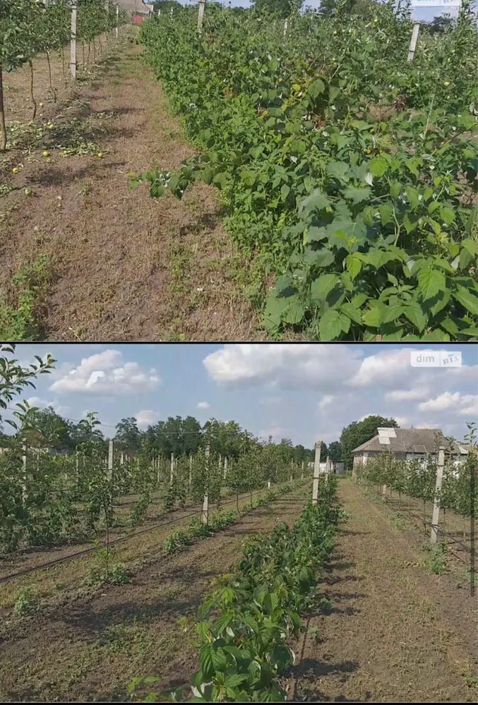 Обʼєкт нерухомості: ПЛОЩА - 150 CОТ., ЦІНА - 20 312 $
 — HUBTRUST, Вінниця