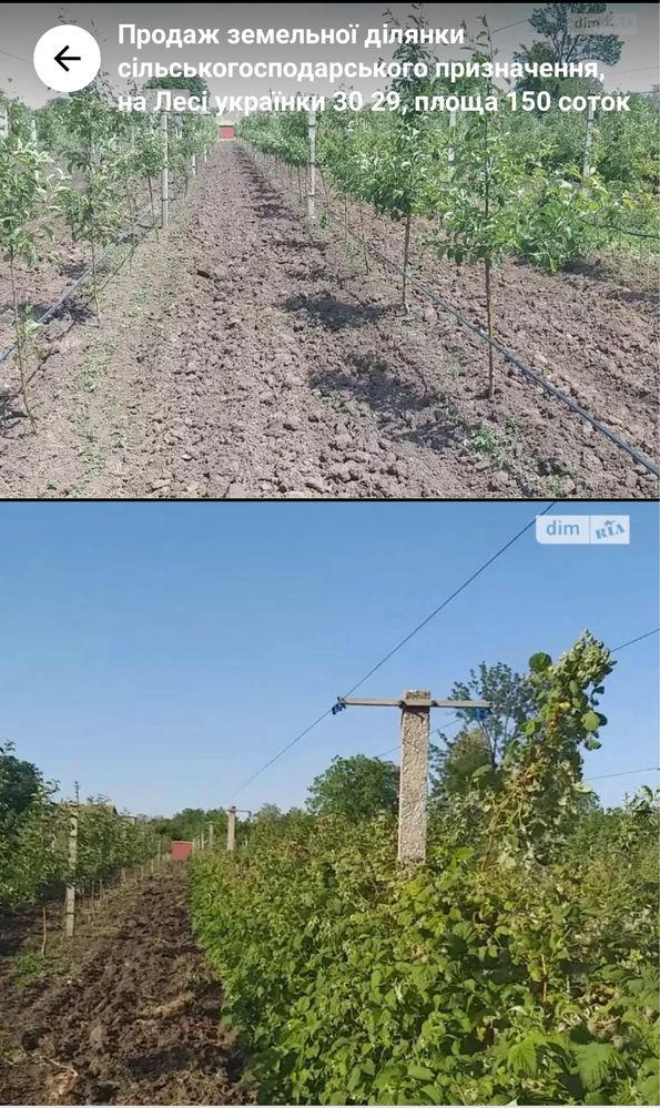 Обʼєкт нерухомості: ПЛОЩА - 150 CОТ., ЦІНА - 20 312 $
 — HUBTRUST, Вінниця