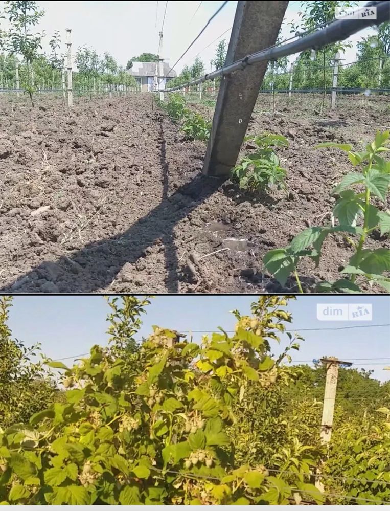 Обʼєкт нерухомості: ПЛОЩА - 150 CОТ., ЦІНА - 20 312 $
 — HUBTRUST, Вінниця