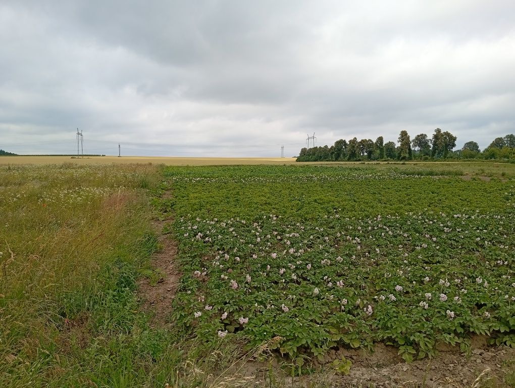 Обʼєкт нерухомості: ПЛОЩА - 25 CОТ., ЦІНА - 11 500 $
 — HUBTRUST, Вінниця