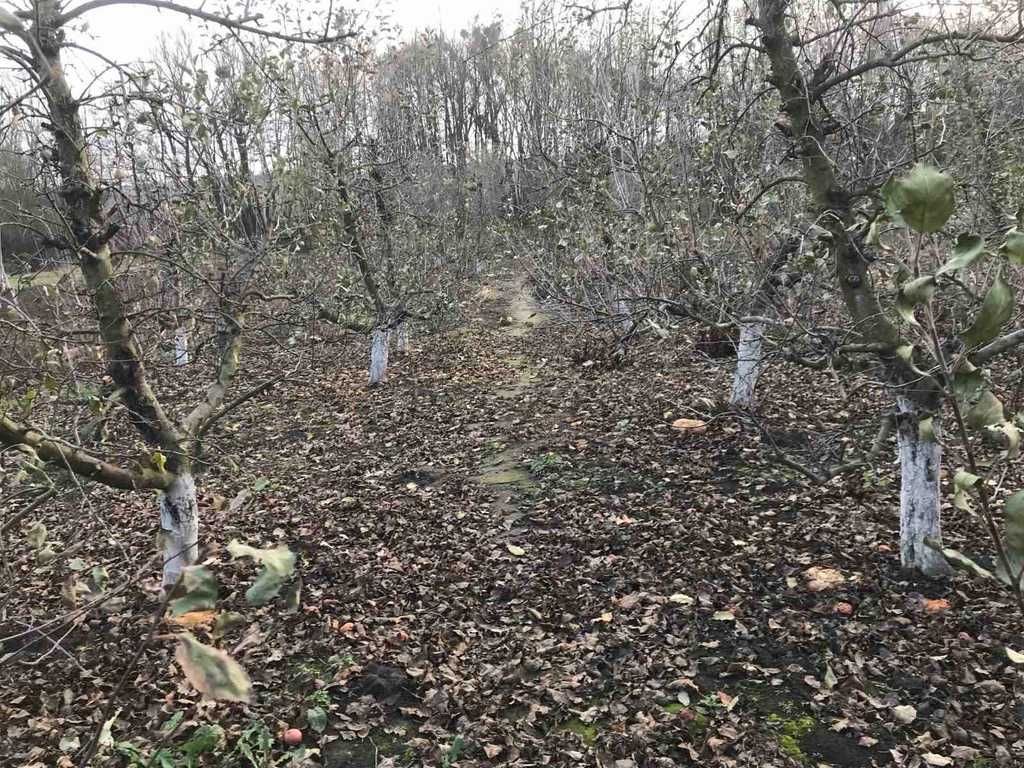 Обʼєкт нерухомості: 4 КІМ. БУДИНОК, ПЛОЩА - 53 м², ЦІНА - 12 000 $
 — HUBTRUST, Вінниця