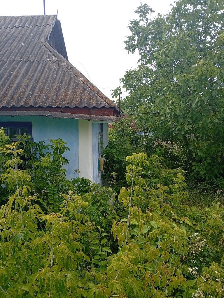 Обʼєкт нерухомості: 2 КІМ. БУДИНОК, ПЛОЩА - 18 м², ЦІНА - 1 193 $
 — HUBTRUST, Вінниця