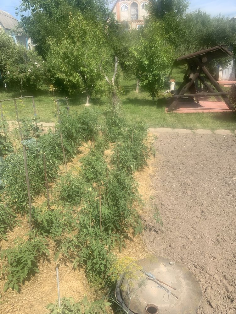 Обʼєкт нерухомості: ПЛОЩА - 5 CОТ., ЦІНА - 27 500 $
 — HUBTRUST, Вінниця