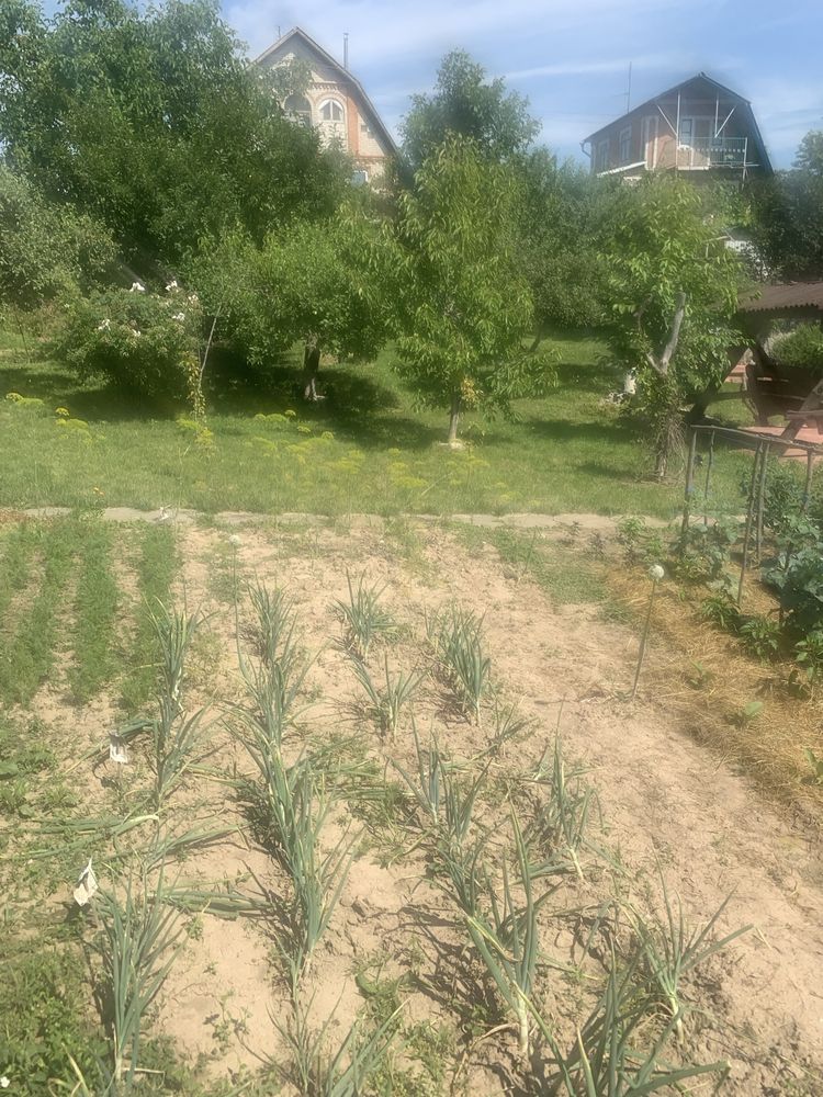 Обʼєкт нерухомості: ПЛОЩА - 5 CОТ., ЦІНА - 27 500 $
 — HUBTRUST, Вінниця