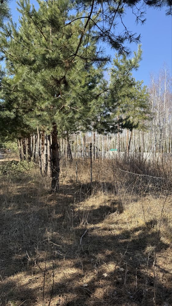 ПЛОЩА – 12 сот., ЦІНА – 42 000$, РАЙОН: Славне