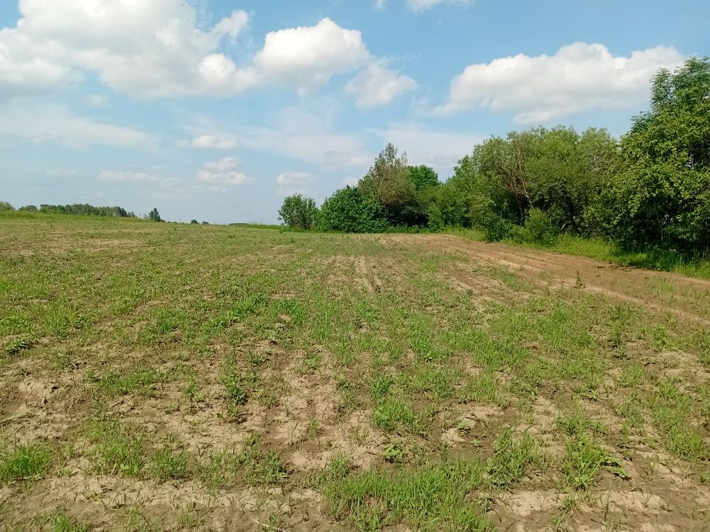 Обʼєкт нерухомості: 3 КІМ. БУДИНОК, ПЛОЩА - 48 м², ЦІНА - 12 000 $
 — HUBTRUST, Вінниця