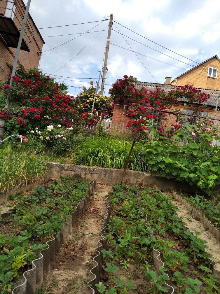Обʼєкт нерухомості: 3 КІМ.  БУДИНОК ПЛОЩА – 95 м², ЦІНА – 80 000$, РАЙОН: Старе місто — HUBTRUST, Вінниця