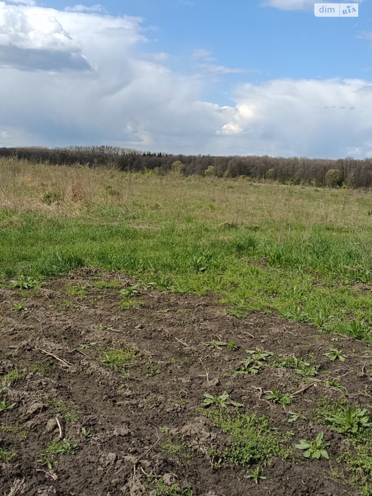 Обʼєкт нерухомості: ПЛОЩА - 10 CОТ., ЦІНА - 4 000 $
, вул. Івана Піддубного — HUBTRUST, Вінниця