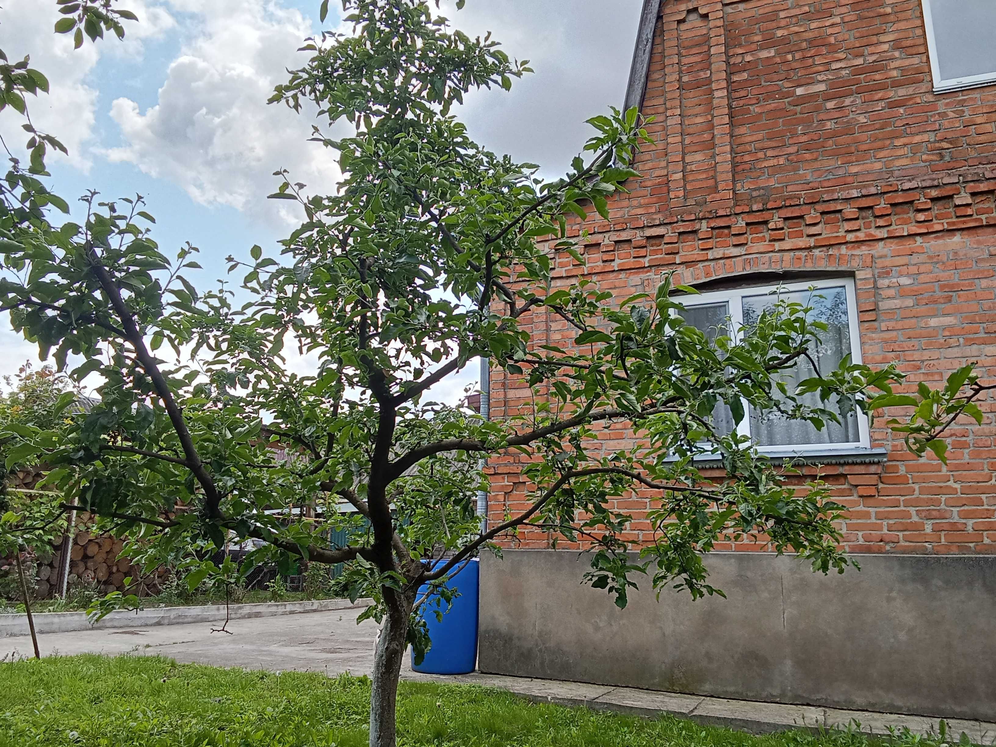 Обʼєкт нерухомості: 5 КІМ. БУДИНОК, ПЛОЩА - 88 м², ЦІНА - 55 000 $
 — HUBTRUST, Вінниця