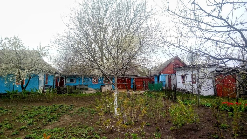 5 КІМ. БУДИНОК, ПЛОЩА - 1 м², ЦІНА - 8 500 $
