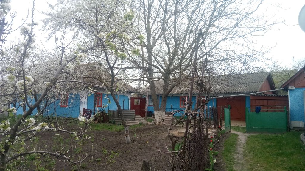Обʼєкт нерухомості: 5 КІМ. БУДИНОК, ПЛОЩА - 1 м², ЦІНА - 8 500 $
 — HUBTRUST, Вінниця