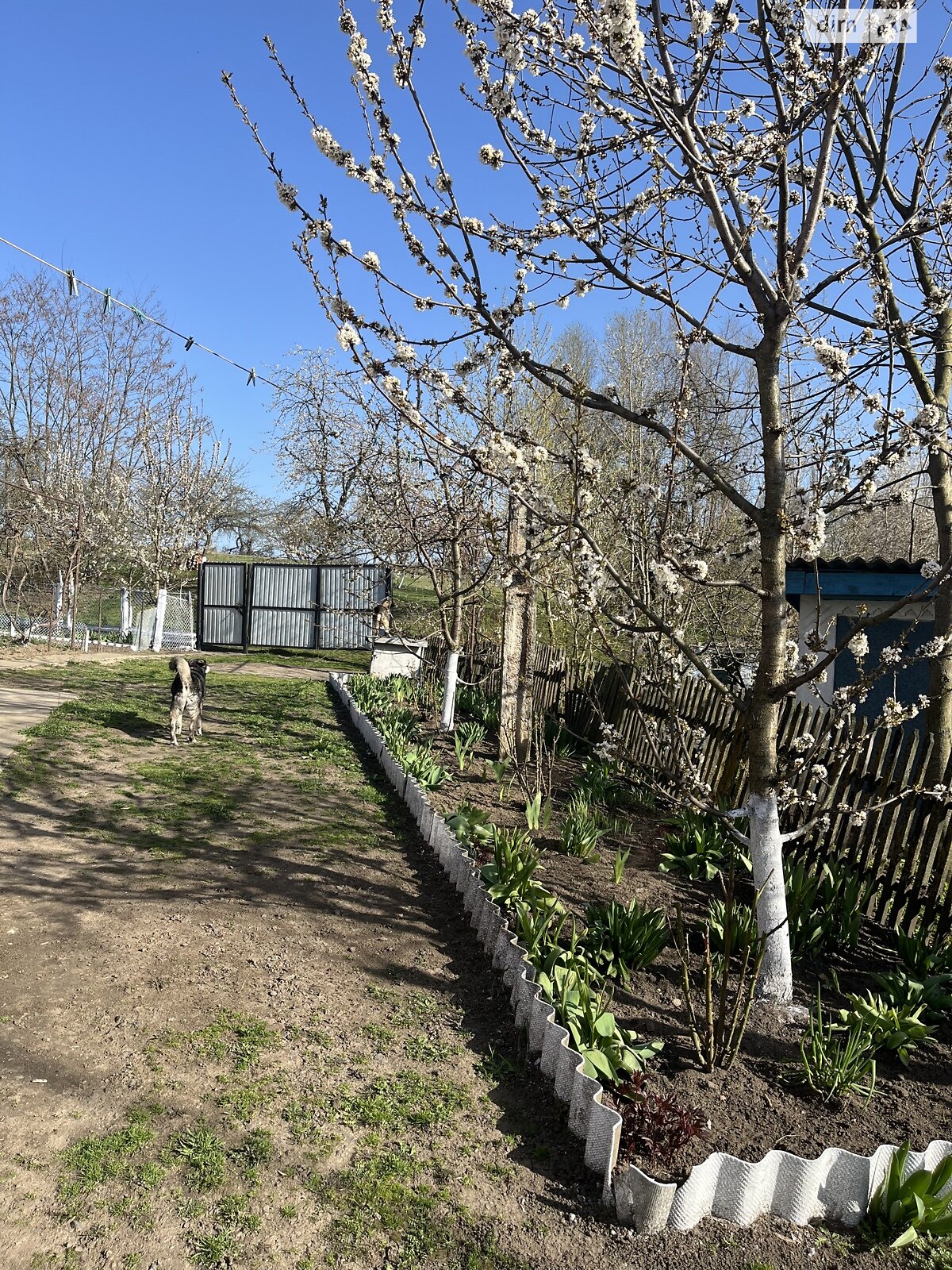 Обʼєкт нерухомості: 5 КІМ. БУДИНОК, ПЛОЩА - 112 м², ЦІНА - 10 500 $
 — HUBTRUST, Вінниця