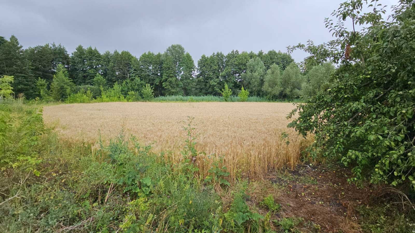 Обʼєкт нерухомості: 3 КІМ. БУДИНОК, ПЛОЩА - 60 м², ЦІНА - 5 000 $
 — HUBTRUST, Вінниця