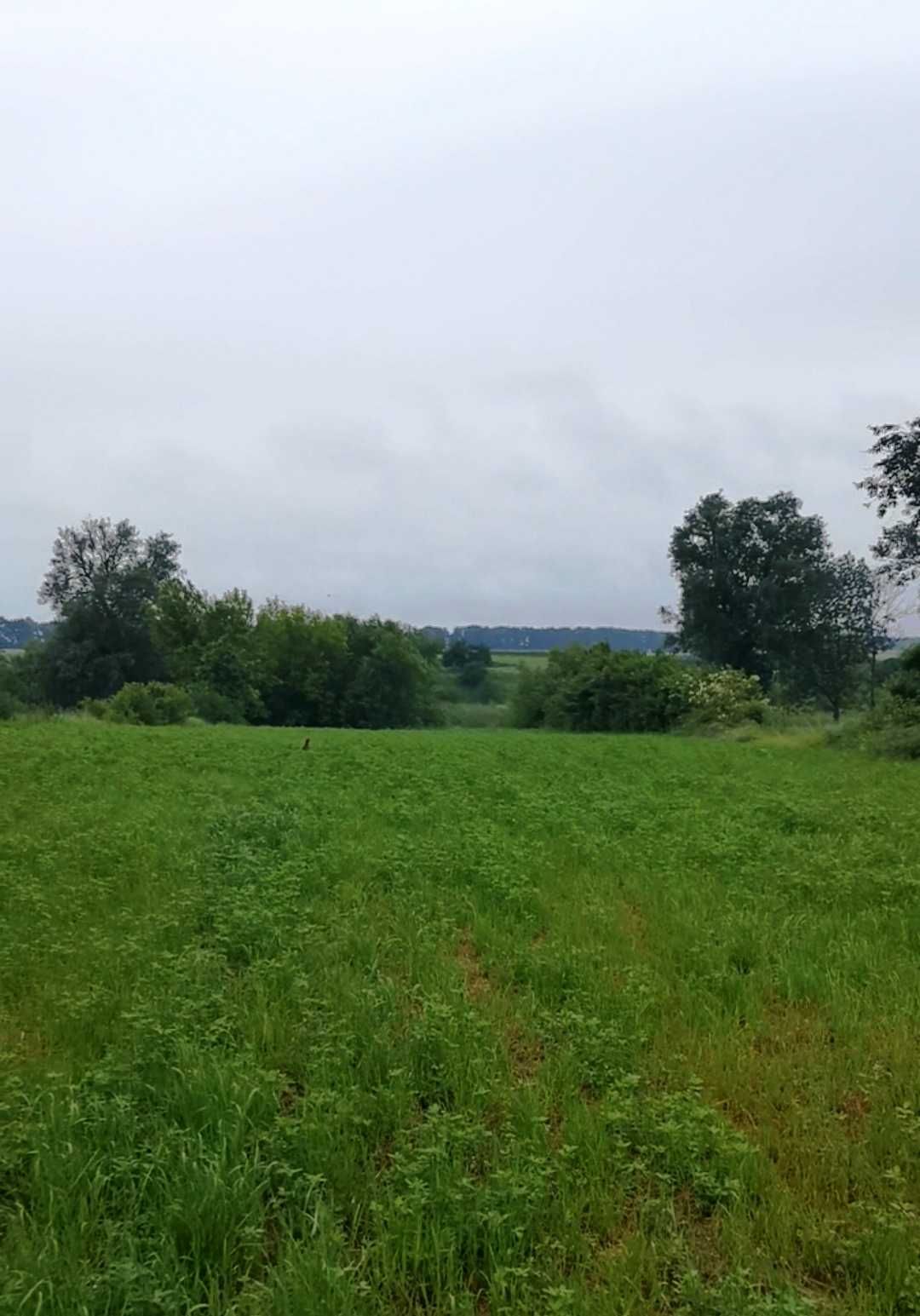 Обʼєкт нерухомості: 2 КІМ. БУДИНОК, ПЛОЩА - 54 м², ЦІНА - 45 000 $
 — HUBTRUST, Вінниця