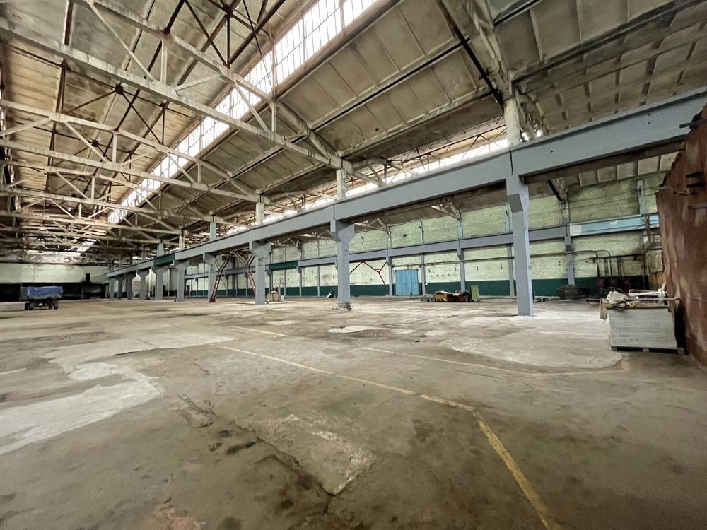 ПЛОЩА - 10000 м², ЦІНА - 3 $
