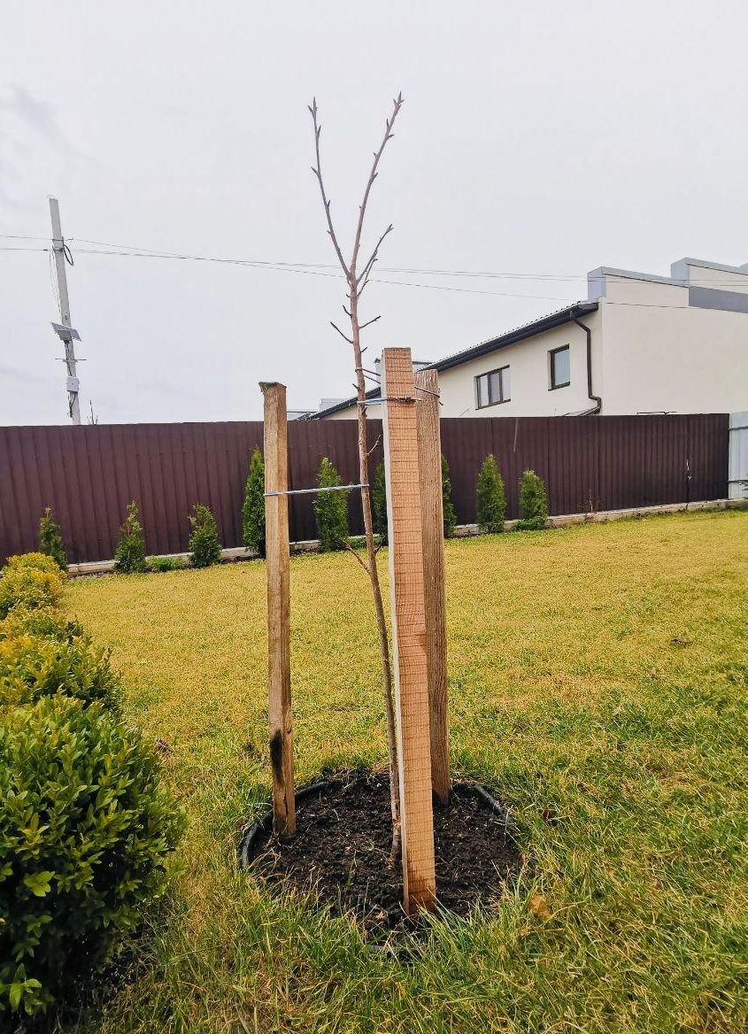 Обʼєкт нерухомості: 3 КІМ.  ТАУНХАУС ПЛОЩА – 90 м², ЦІНА – 120 000$, РАЙОН: Агрономічне — HUBTRUST, Вінниця