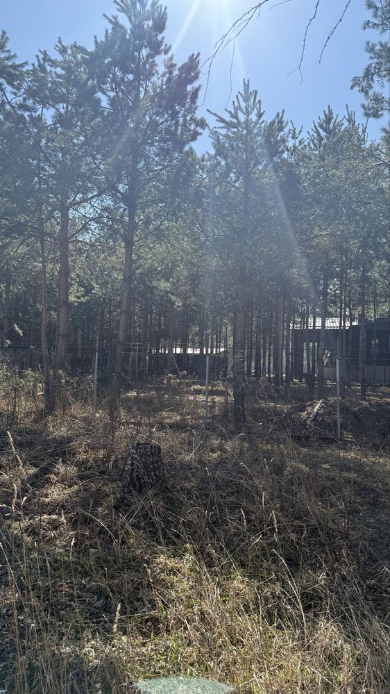 Обʼєкт нерухомості: ПЛОЩА – 12 сот., ЦІНА – 42 100$, РАЙОН: Славне — HUBTRUST, Вінниця