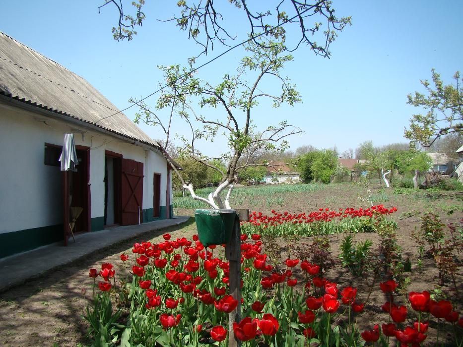 Обʼєкт нерухомості: 4 КІМ. БУДИНОК, ПЛОЩА - 80 м², ЦІНА - 10 000 $
 — HUBTRUST, Вінниця